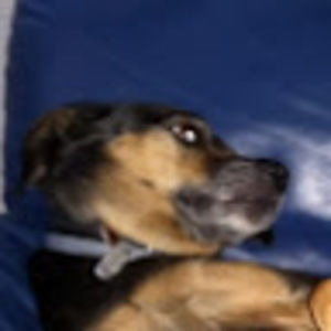 Meet your Posher, Claire